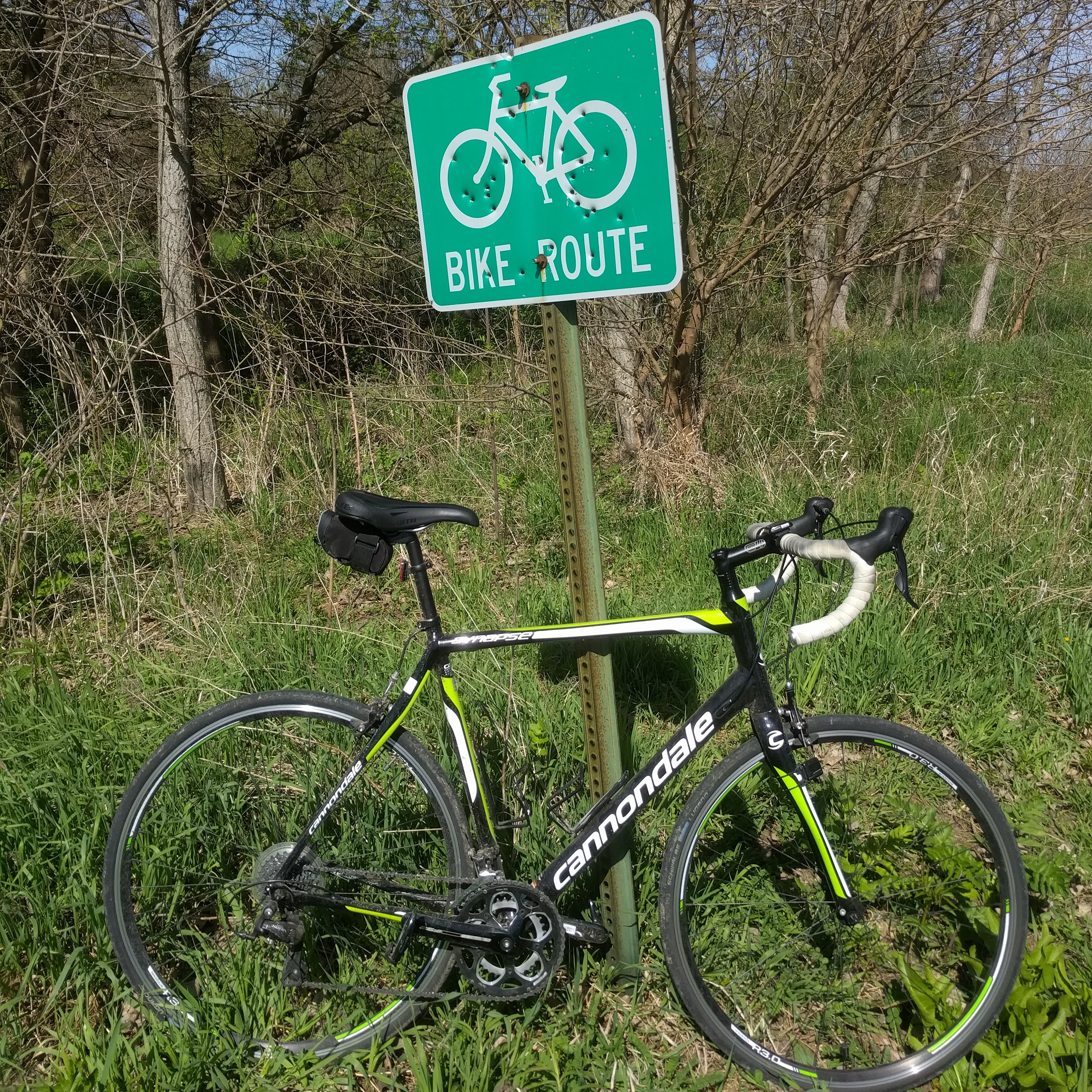 Cannondale